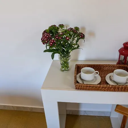 19 * Palermo